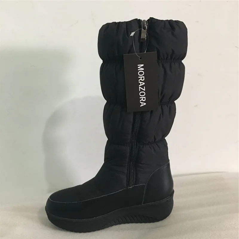 HTB1xw6hNVXXXXXPXpXXq6xXFXXXg