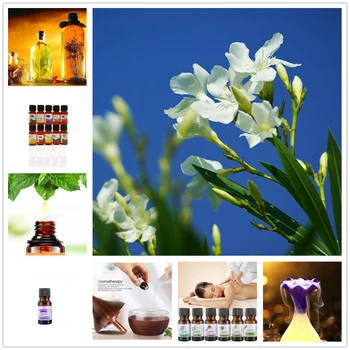 

Organic Essential Oil Pueraria Lobata Oil Herbal Drops Body Relieve Stress Oil Fragrance Aromatherapy Improve Sleep Quality