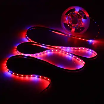 

Plant Grow lights Full Spectrum LED Strip Flower phyto lamp 5m Waterproof Red blue 5:1 for Greenhouse Hydroponic+Power adapter