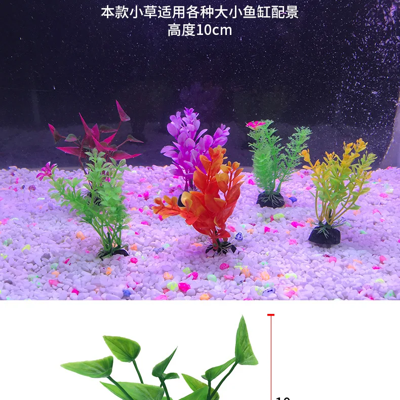 详情_02.jpg
