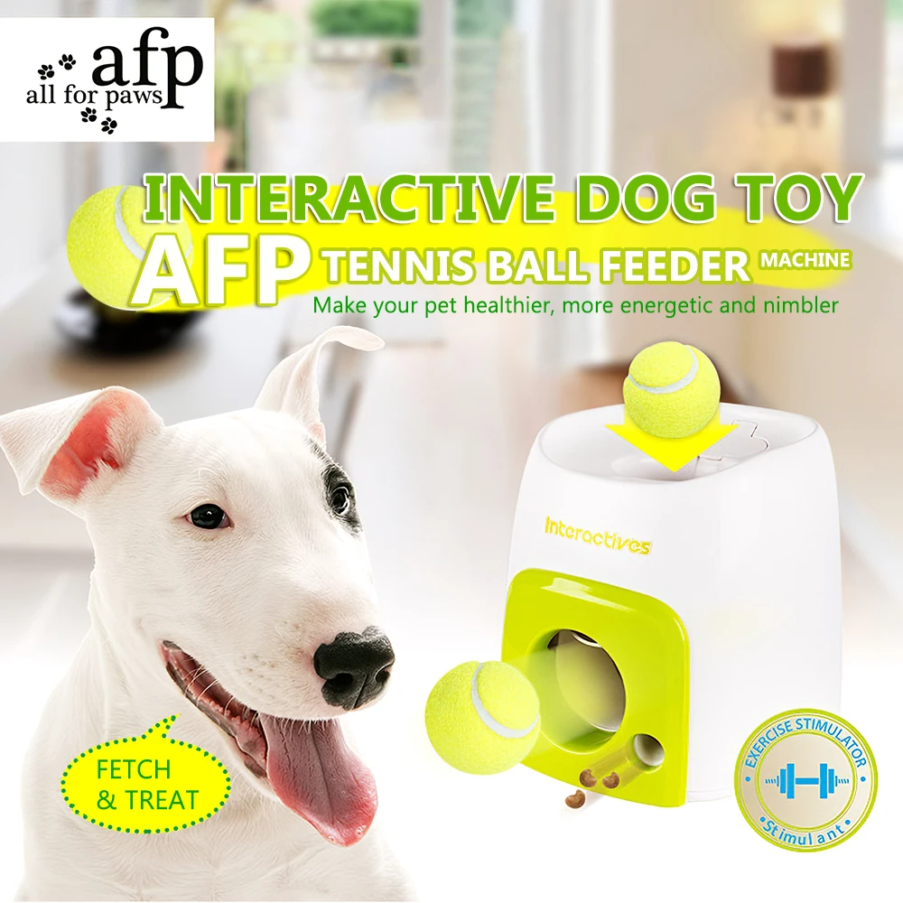 fetch and treat toy