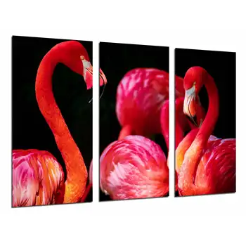 

Animal Flamingos Pinks, Reds, Wildlife, photo print on wood, modern picture decorative 26773