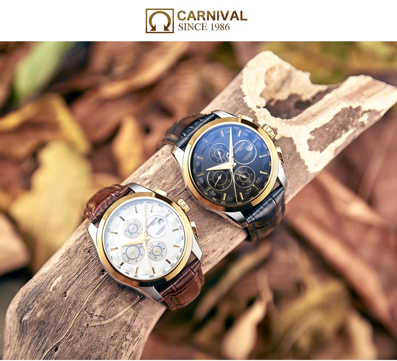 Карнавальные мужские часы, автоматические механические брендовые роскошные часы для мужчин, сапфир, reloj hombre, водонепроницаемые мужские часы, наручные часы, C-8629-5