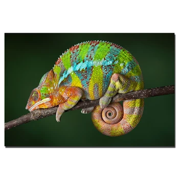 

1 Piece Nordic Style Animal Canvas Painting Colorful Chameleon HD Poster Wall Art Pictures Print for Living Room