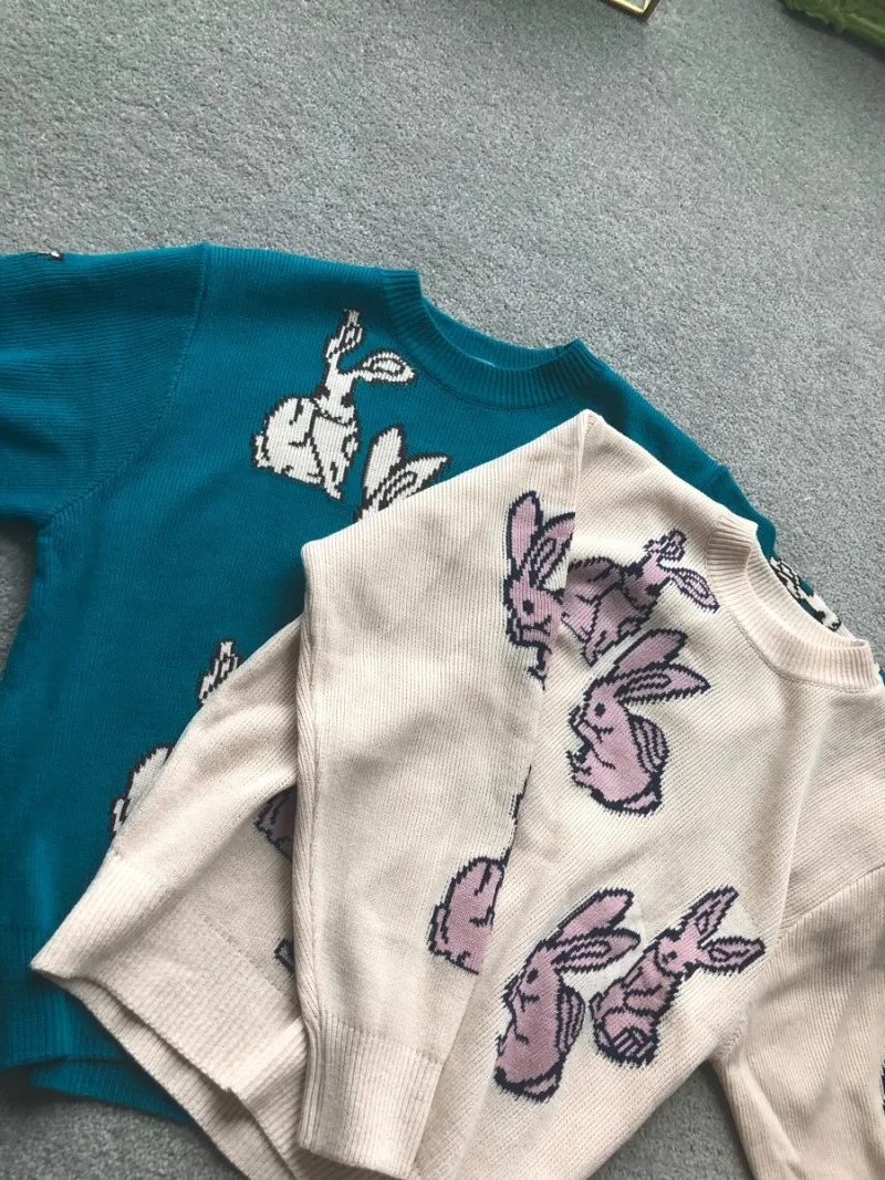 O1CN011R6tYAS935g9kJF_!!731402063