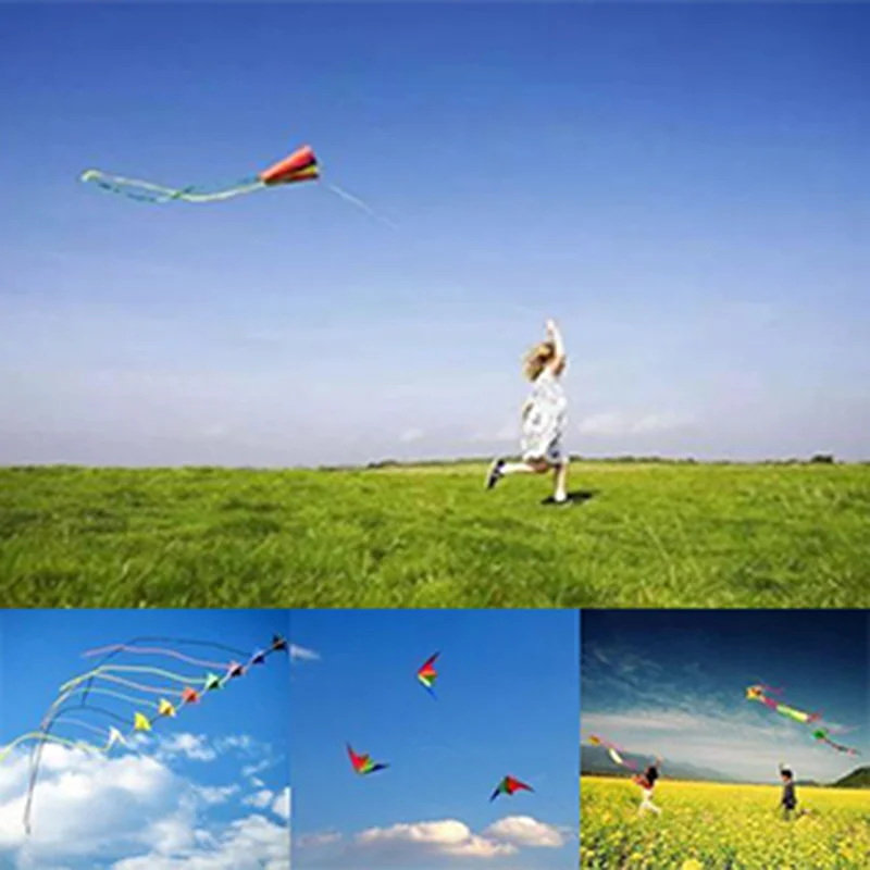 Outdoor Toys Large Delta Kites Tails With Handle For Children Kites Nylon Ripstop Albatros Kite Factory Direct 2