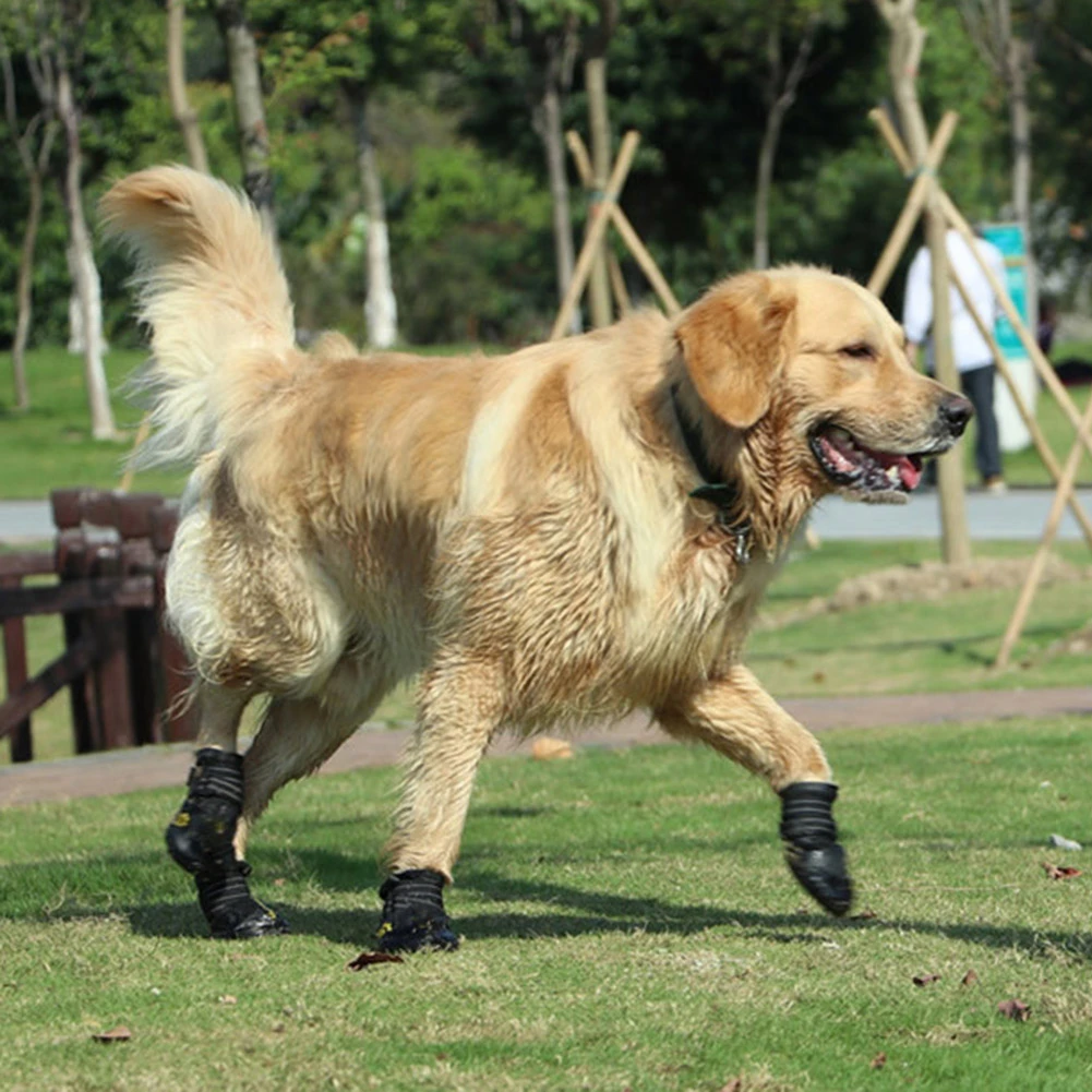 large dog rain boots