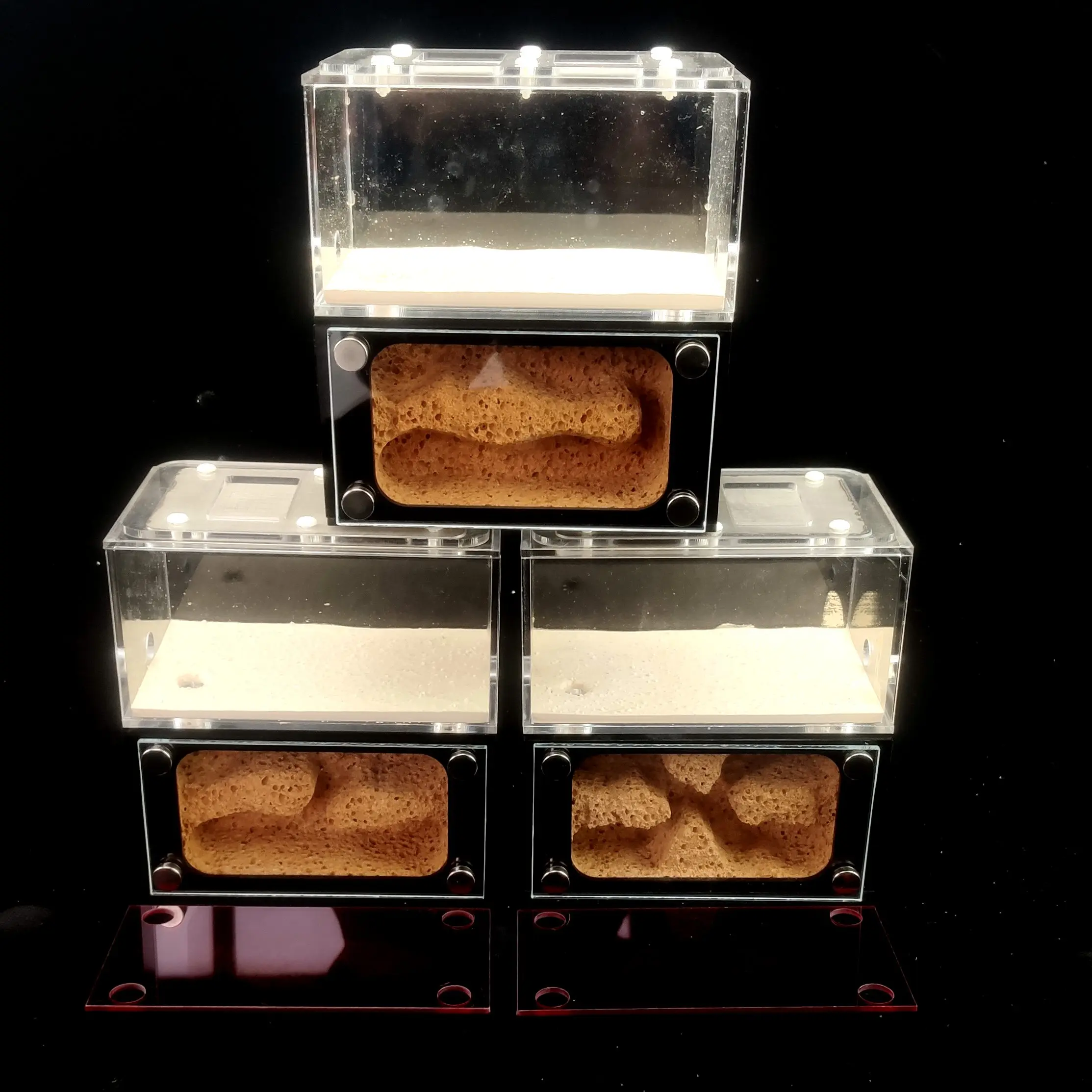 

Concrete Ants Nest Ants Farm Independent Active Areas And Nests For Middle Or Big colonies