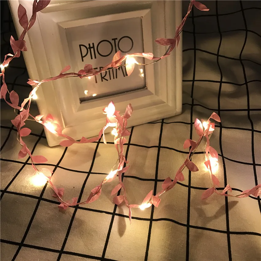 IMG_8692