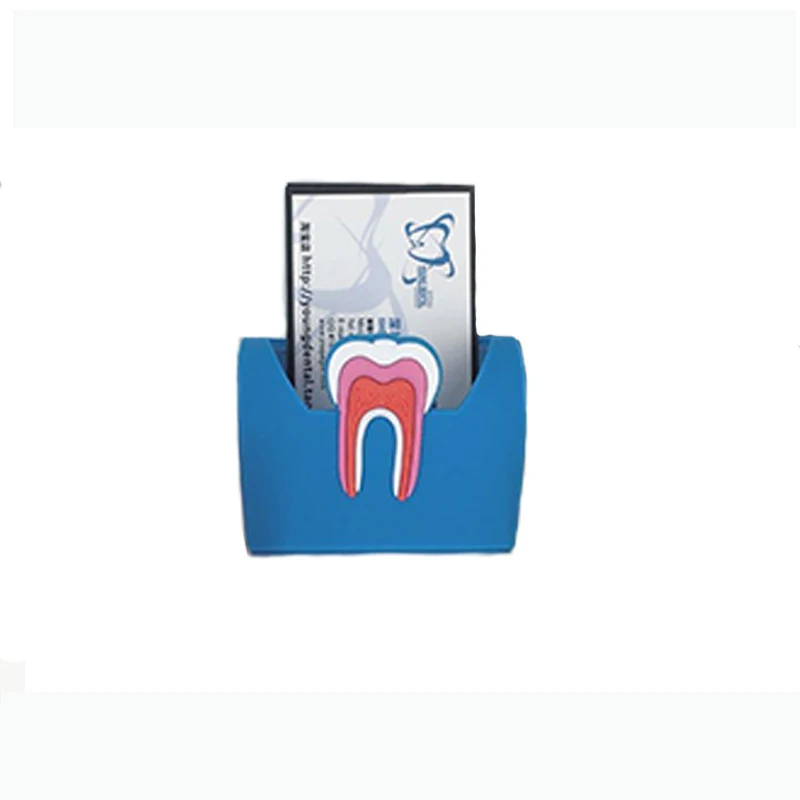 1pcs Dentist Gift Cute Card Holder For Dental Clinic Colorful Rubber Teeth Molar Shape Phone Card Name Storage Dsiaply Stand