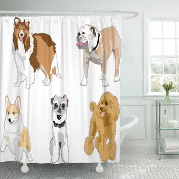 

Brown Corgi of The Dog Gray Poodle Schnauzer Cartoon Shower Curtain Polyester 72 x 78 inches Set with Hooks
