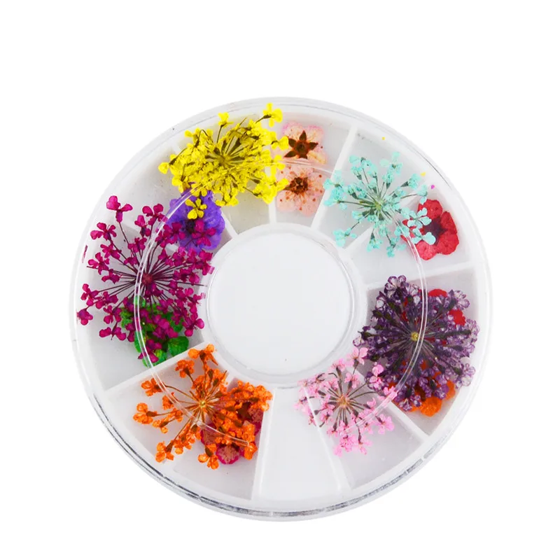 Art lalic 1 коробка микс сушеных цветов 3D украшение ногтей колесо DIY консервированный цветок Маникюр украшения для ногтей