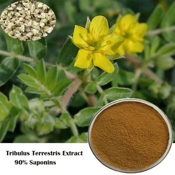 

90% saponins Tribulus Terrestris Extract Powder Anti aging and energy enhancing, improving immunity 50g-1000g