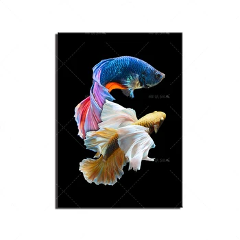 

Modern Canvas Painting Wall Art With Frame Watercolor Bettas Abstract Nordic Print Poster Modular Decor Gifts For Family Friends