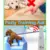 Pet Potty Aid Training Жидкий Спрей для Собак Щенков Кошек DEC889