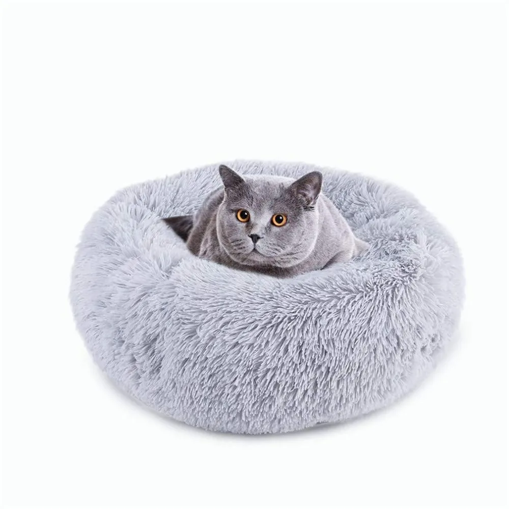 CP234010-C-2020100604-1