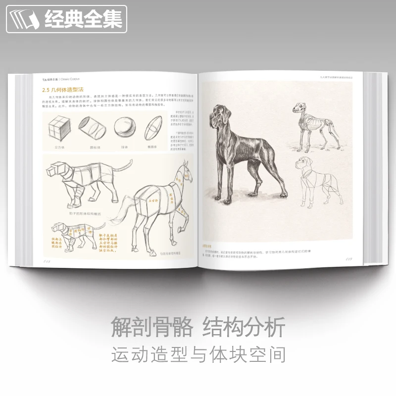 Libri da disegno a mano a matita Libro di pittura Schizzo per adulti Tecniche di animali Con iniziare Copia Tutorials Libro di testo con base zero - immagine 3