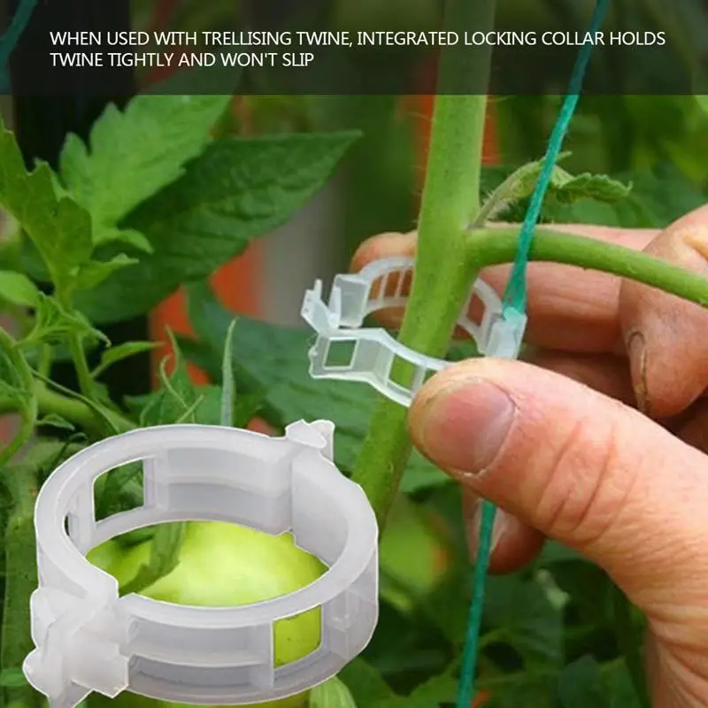 50/100 шт многоразовые 25 мм пластиковые зажимы для поддержки растений зажимы для растений Сваг из лозы садовые теплицы овощи помидоры зажимы
