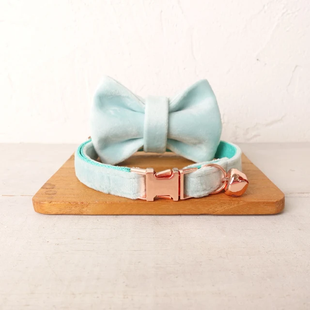 Aqua Bow tie collar