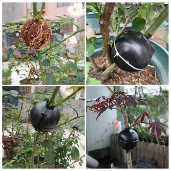 

Plant Rooting Device Plant Root Grafting Box High Pressure Propagation Grafting Asexual Reproduction Equipment for Fruit Bushes