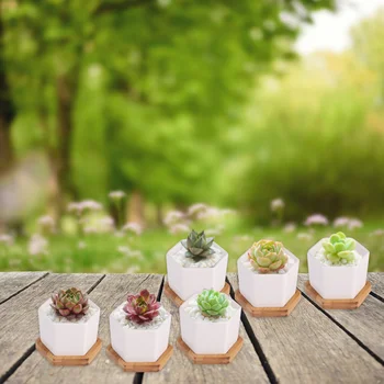 

12 Pcs in 1 Set Succulent Plant Pots Mini Succulent Planter Ceramic Flower Planter Pot with Bamboo Trays (6 Pots and 6 Trays, Wh