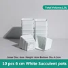 10 Pots 6 cm