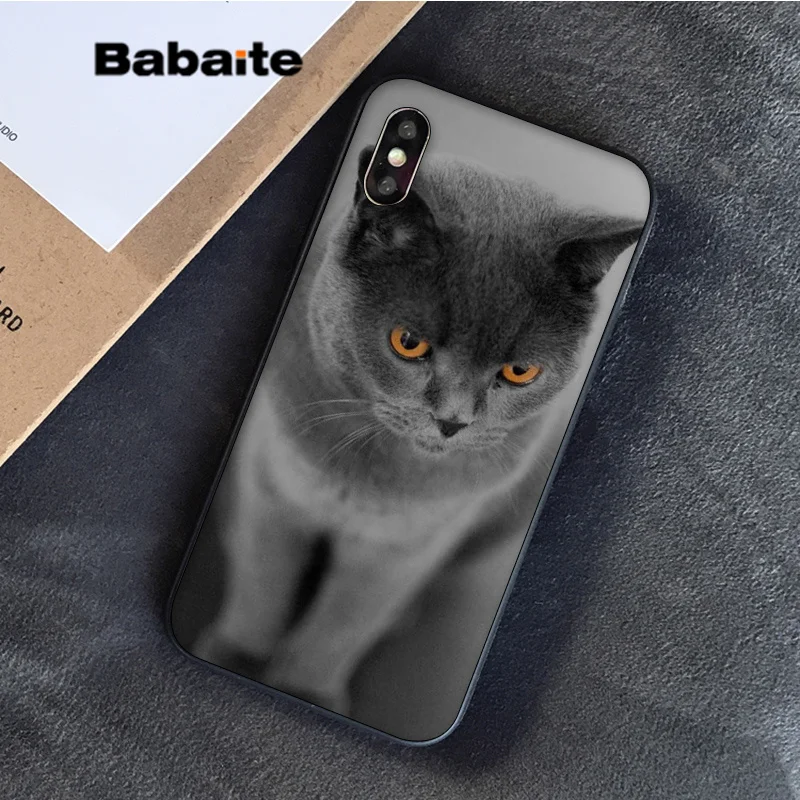 9 Babaite Британский короткошерстный Кот в продаже окрашенный мягкий чехол для телефона Apple iPhone 8 7 6S Plus X XS MAX 5 5S SE XR - Цвет: 9