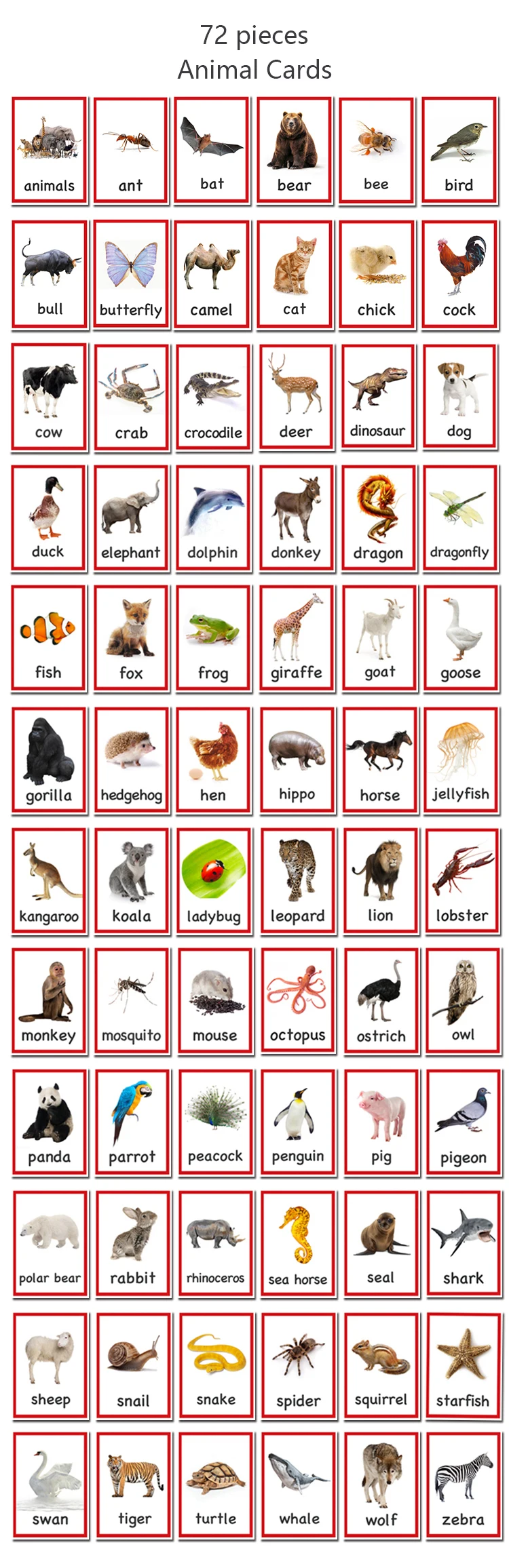 Flash para Crianças Auxiliares de Ensino Inglês Animais Cartões Bebê Crianças Cognitivo Aprendizagem Cartão Palavra Montessori Brinquedos Educativos 72 Pçs 3 Computers & Electronics