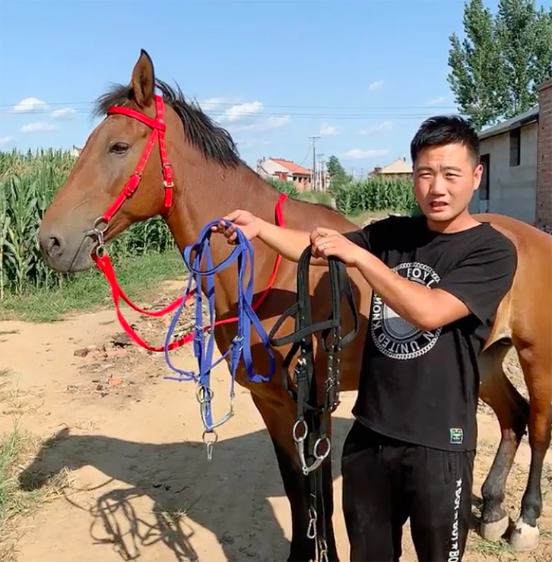 Нейлоновая лошадь Холтер оборудование для верховой езды гонки эквестрианство аксессуары для лошади 1,2 метров высота плеча Mahler поводки