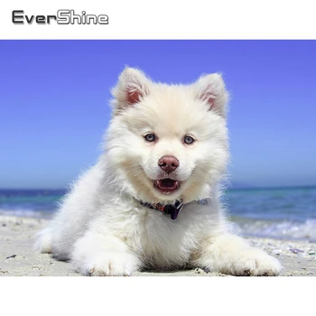 

Evershine 5D Diamond Mosaic Dog Diamond Painting Animal Rhinestone Pictures Diamond Embroidery Sale Full Square Round Drill Art