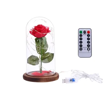 

NEWKBO Stimulation Rose Flower LED String Light with Glass Cover Remote Control 8 Modes Party Wedding Birthday Anniversary Gift