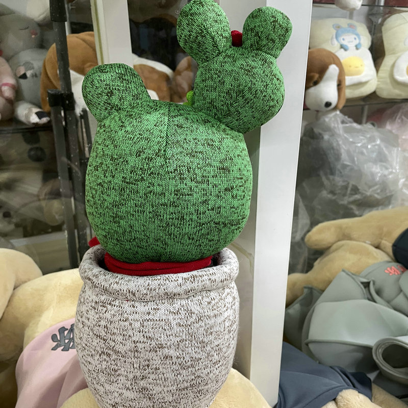 Start Up-Cactus Doll
