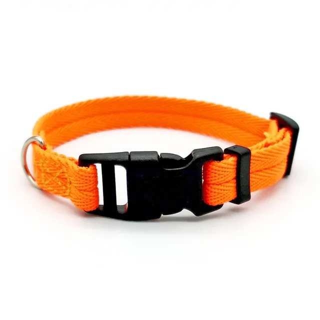 Nylon Webbing Dog Collar Fashion Buckle Pet Collar for Small Medium Dogs Chihuahua Dog Red Black Blue Orange Pet Accessory 3