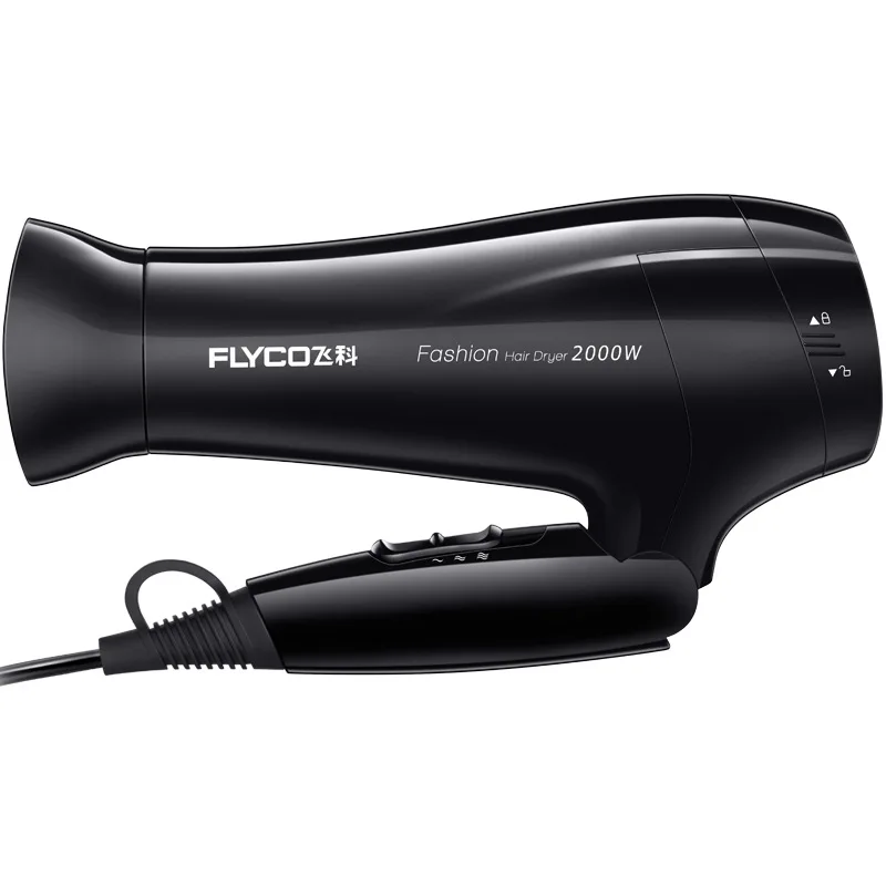 

Flying Branch High-Power 2000W Blow Dryer Heating And Cooling Air Constant Temperature Hair Dryer Foldable Hair Dryer FH6231