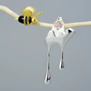 Fine Jewelry