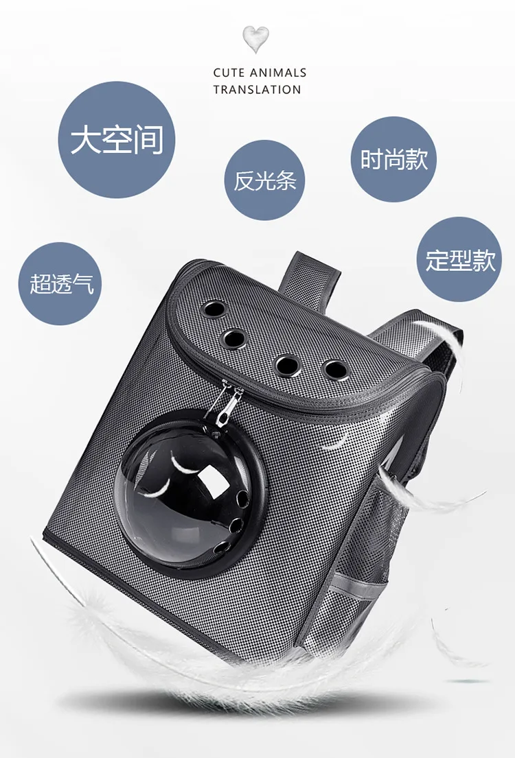 12055929107_686886075