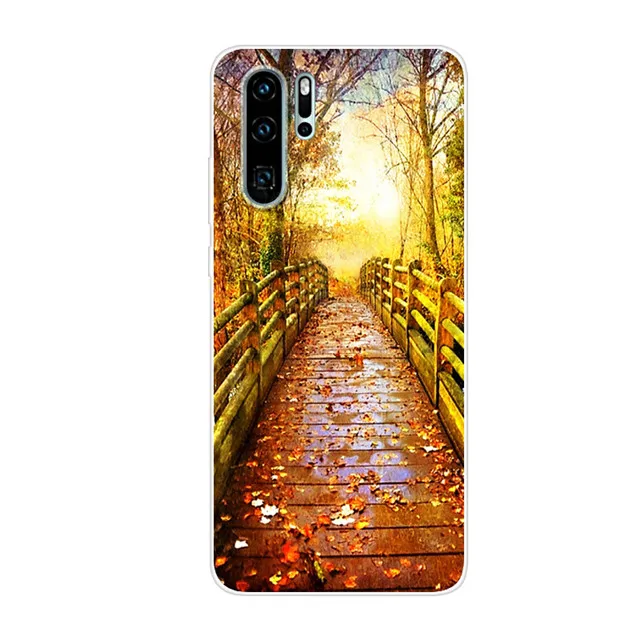 Чехол для телефона Huawei P30 Pro чехол P30Pro силиконовый мягкий из ТПУ с рисунком Lite P30Lite