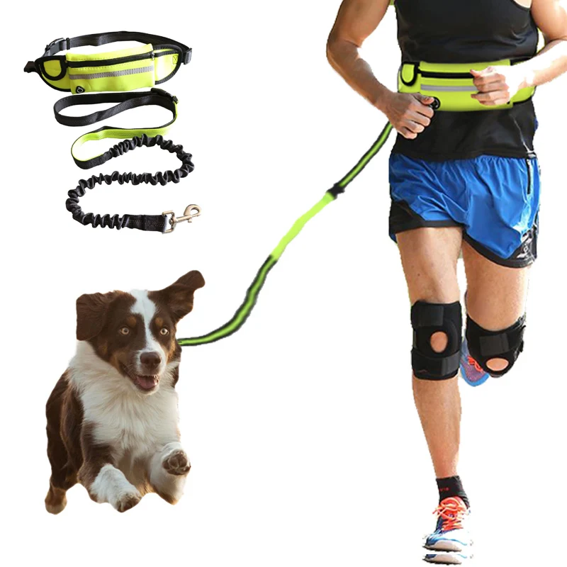 Handsfree bungee dog reflective leash