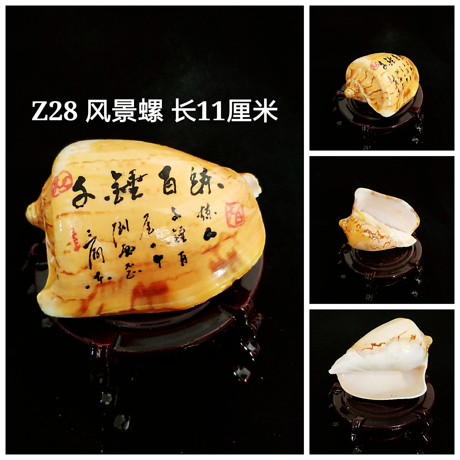 Scenic Conch Shell Conch Micro-Scenic DIY Mediterranean Drifting Bottle Platform Tank Aquarium Landscape Decoration Ornaments - Цвет: Темно-синий