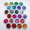 Paillettes holographiques, 24 couleurs, Total 140g, visage, yeux, cheveux, Festival des ongles ► Photo 1/6