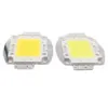 White / Warm White 10W 20W 30W 50W 100W LED light Chip DC 12V 36V COB Integrated LED lamp Diodes DIY Floodlight Spotlight Bulb ► Photo 3/4