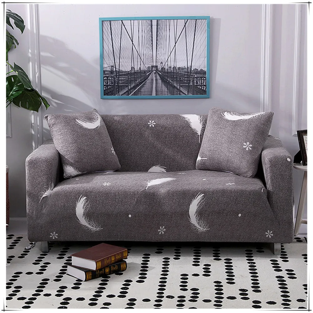 A雪花灰羽毛 (2)