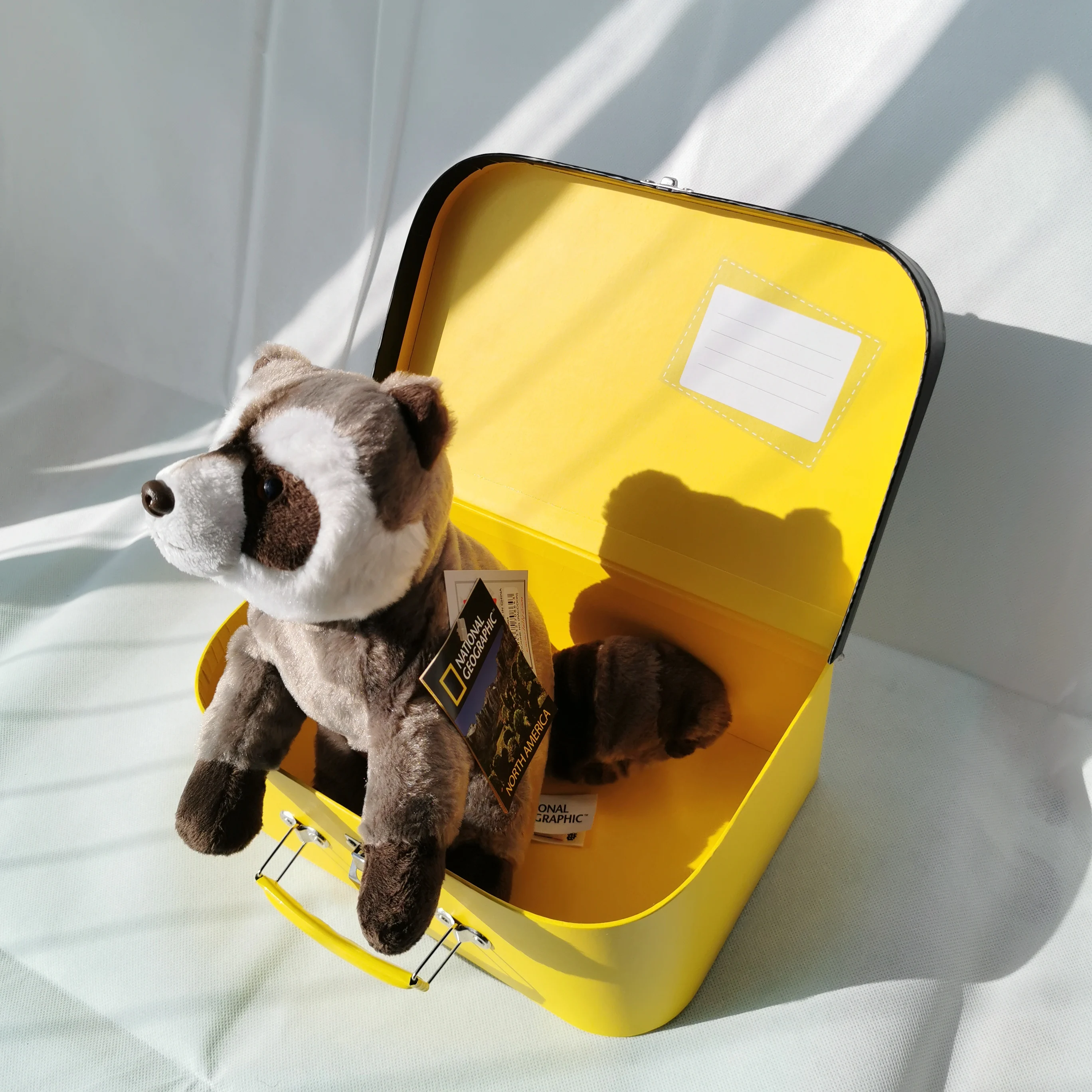 National Geographic Raccoon Plush Toy Kawaii Stuffed Animals Doll with NG Box Surprise Gifts For Children | Игрушки и хобби