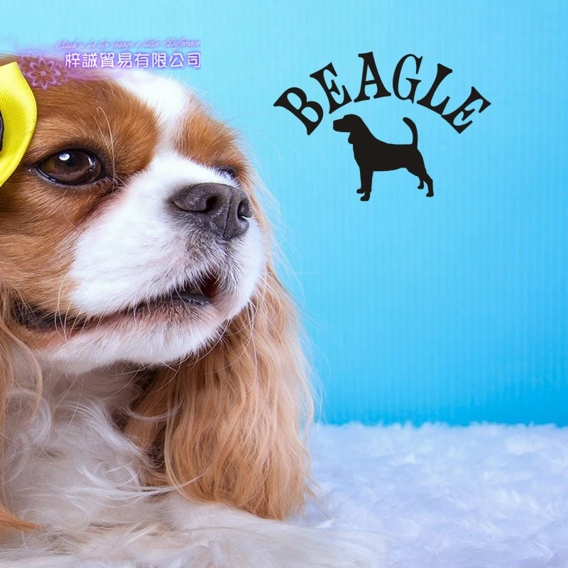 Decalcomania Grooming Salon Pet Shop Sticker Decalcomania Poster Vinile Wall Art Decalcomanie Decor Murale Pet Clinic Decalcomania Sticker