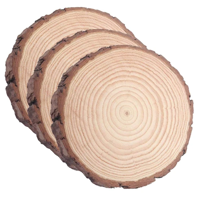 Wood Rounds Wood Slices Wood Slab Natural Craft Supplies Do It Yourself  Rustic Home Decor Different 10pcs 