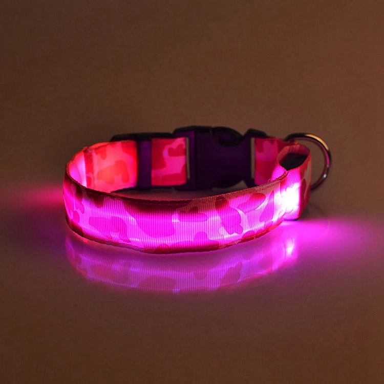 dog collar (8)