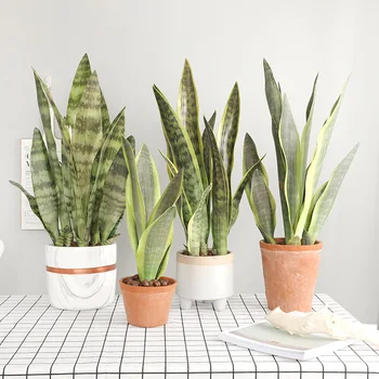 

Artificial Succulent Plant Agave Desert Plants Sansevieria Trifasciata Prain Home Office Decor Fake Bonsai Tropical Leaves