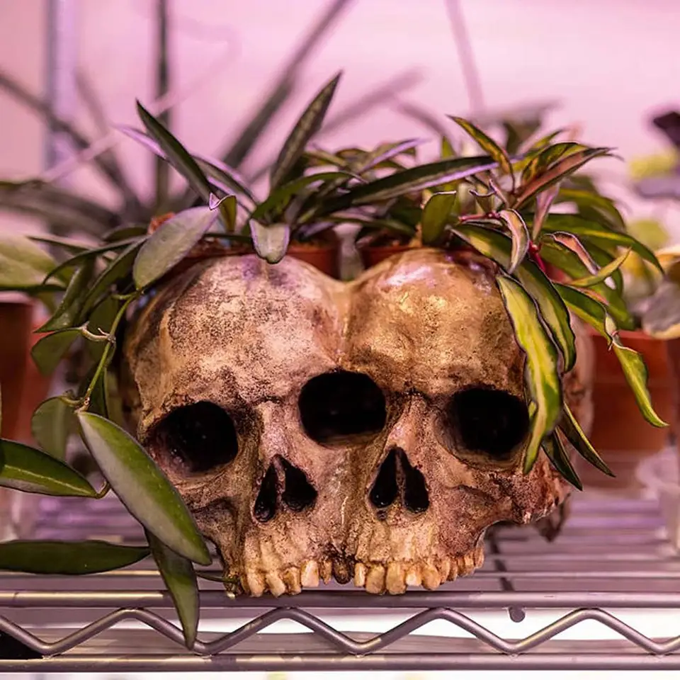 Generico Vaso per piante con teschio,Vaso per fiori con teschio | Vasi per piante succulente - Vaso per piante, fioriera scheletro in resina per Halloween, decorazioni per la casa in vaso gotico