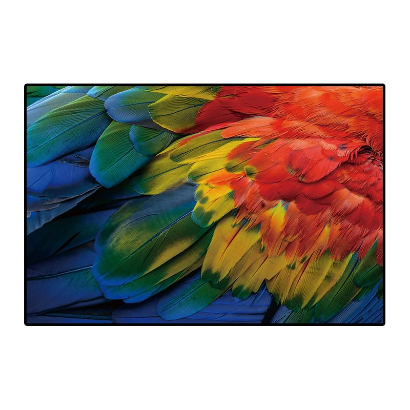 baidi__0000s_0015_dz26 (6)