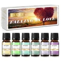 Falling in Love